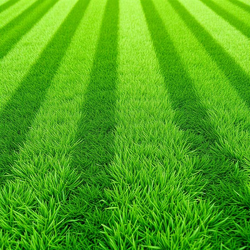 Lawn Care